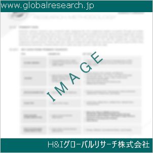 グローバルリサーチ調査資料のイメージ